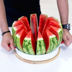 Coupe pastèque et melon 28 cm